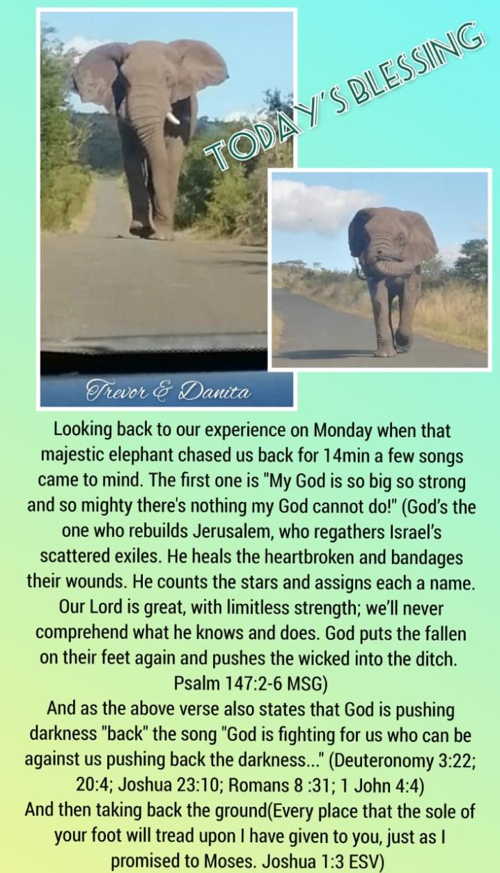 Elephant big God bigger
